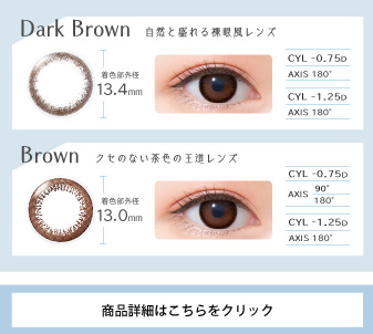 乱視用 ワンデーアイレ リアルUV トーリック