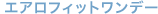 エアロフィットワンデー