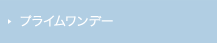 プライムワンデー