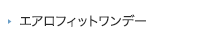 エアロフィットワンデー