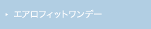 エアロフィットワンデー