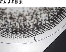 爪による破損