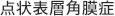 点状表層角膜症